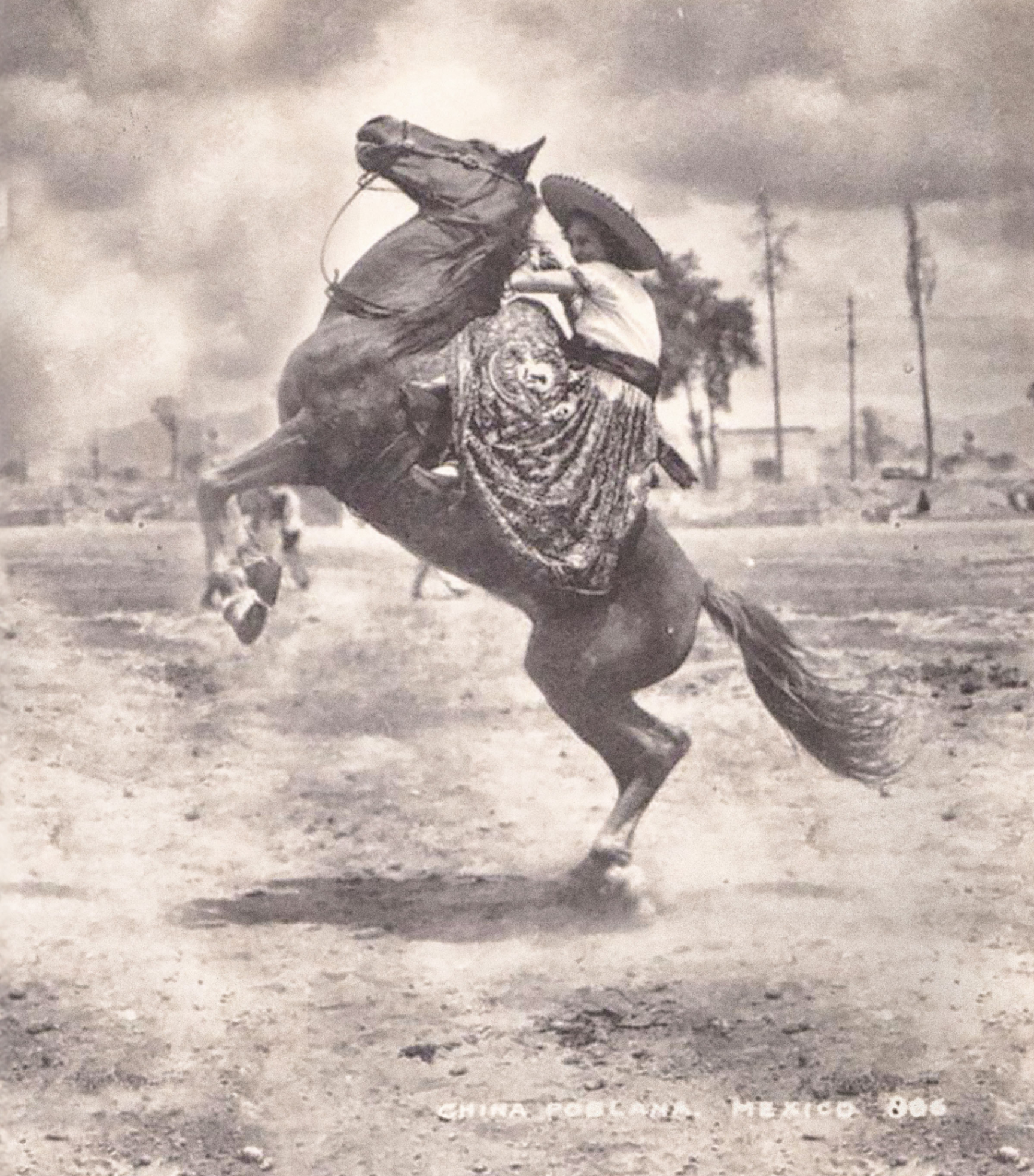 Vintage photo of woman on horse