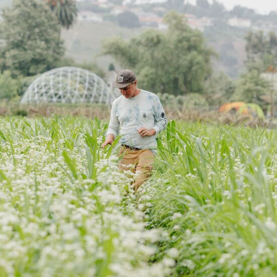 Fresh, organic produce from The Ecology Center served at La Vaquera