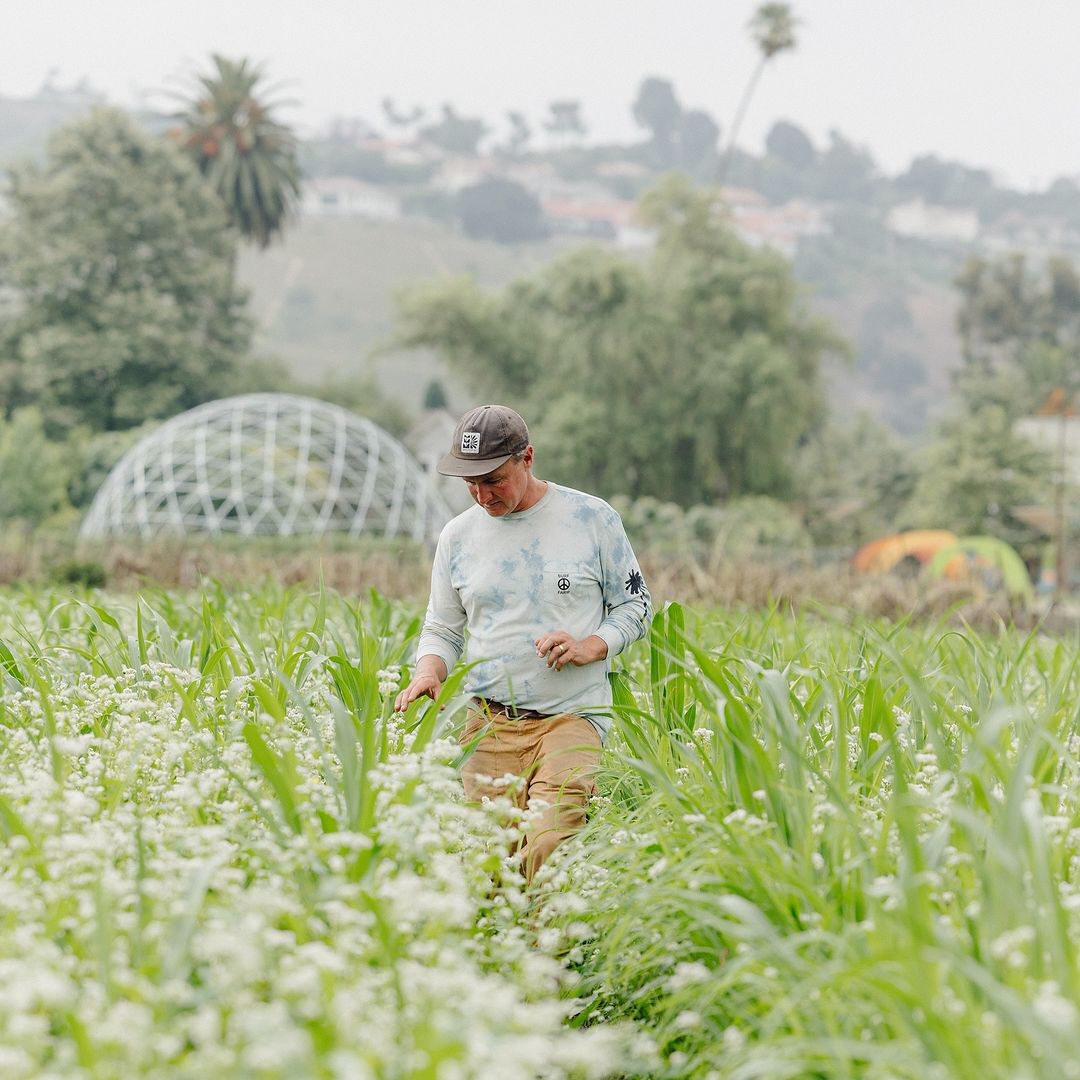 Fresh, organic produce from The Ecology Center served at La Vaquera